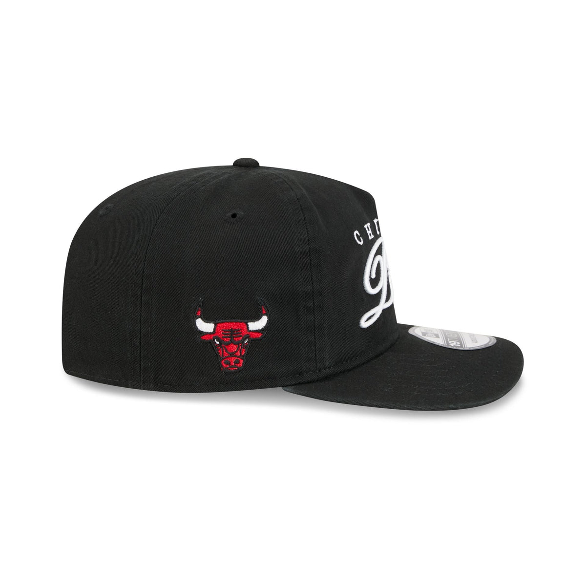 Chicago Bulls Scripted 19TWENTY Adjustable Hat